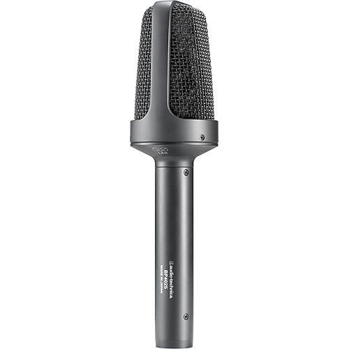 Stereo microphone to rent in Algarve, Portugal